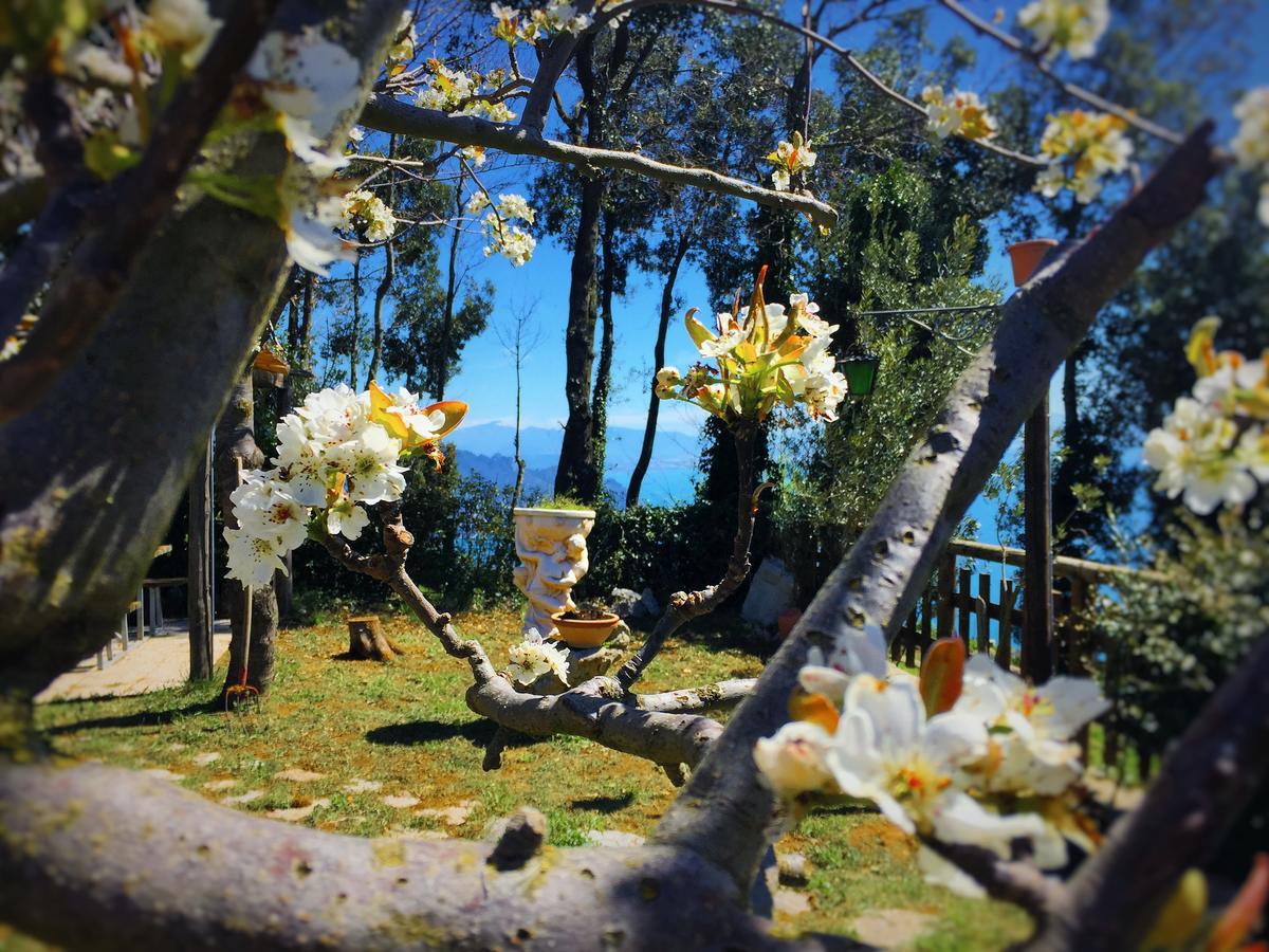 B&B Miramare Аджерола Екстер'єр фото